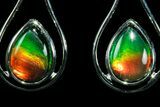 Gorgeous Ammolite Earrings with Sterling Silver #181181-1